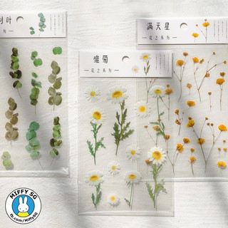 Bộ PET sticker HOA CỎ MÙA XUÂN