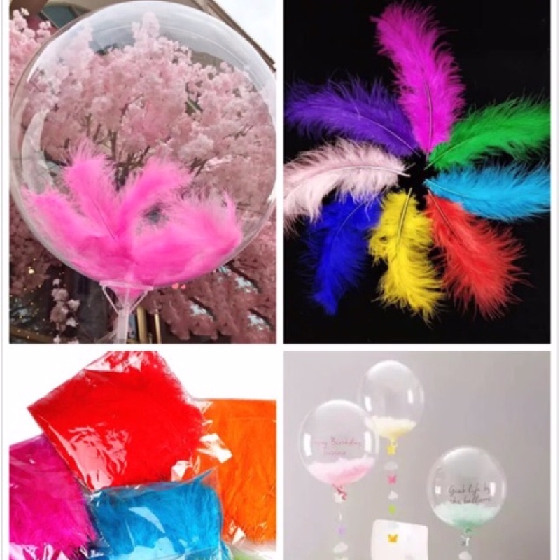 Bộ 100 Lông Vũ Tự Nhiên Nhiều Màu Sắc Làm Đồ Thủ Công DIY