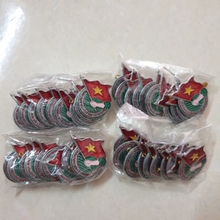 Huy hiệu Đoàn thanh niên