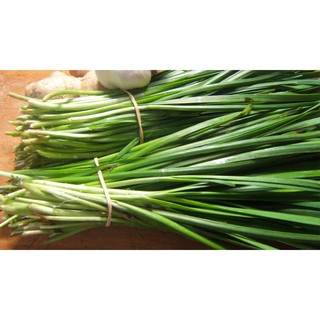 HẠT HẸ LÁ - GÓI 1 GRAM