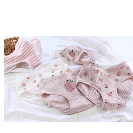 (có size) Combo 5 QUẦN LÓT COTTON CUTE  GẤU HỒNG+cute dâu