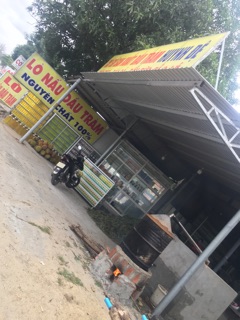 Tinh Dầu Tràm Nguyên Chất 100%