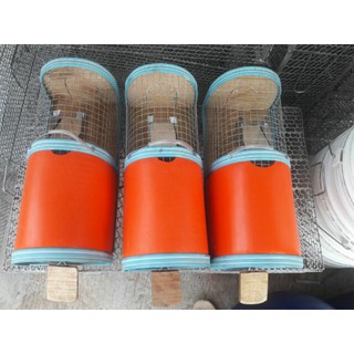 Bẫy chuột nhiều con thông minh loại Đại [HIỆU QUẢ 100%]