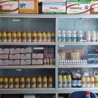 Thuốc diệt mối Lenfos 50EC 100ml