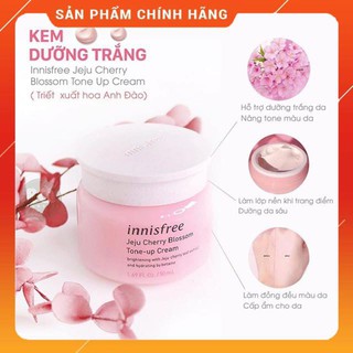 Kem dưỡng trắng da bật tông chiết xuất Anh Đào Nâng Tone Innisfree Hàn Quốc 50ml [ Cam Kết Chuẩn Hàn Quốc  ]