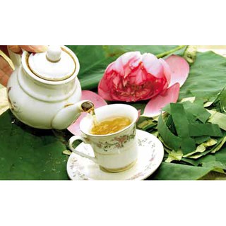 TRÀ LÁ SEN/LIÊN DIỆP - MỘC HOA TRÀ