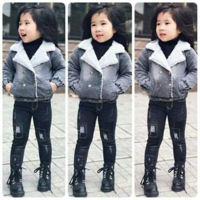Bộ  mai  Ly