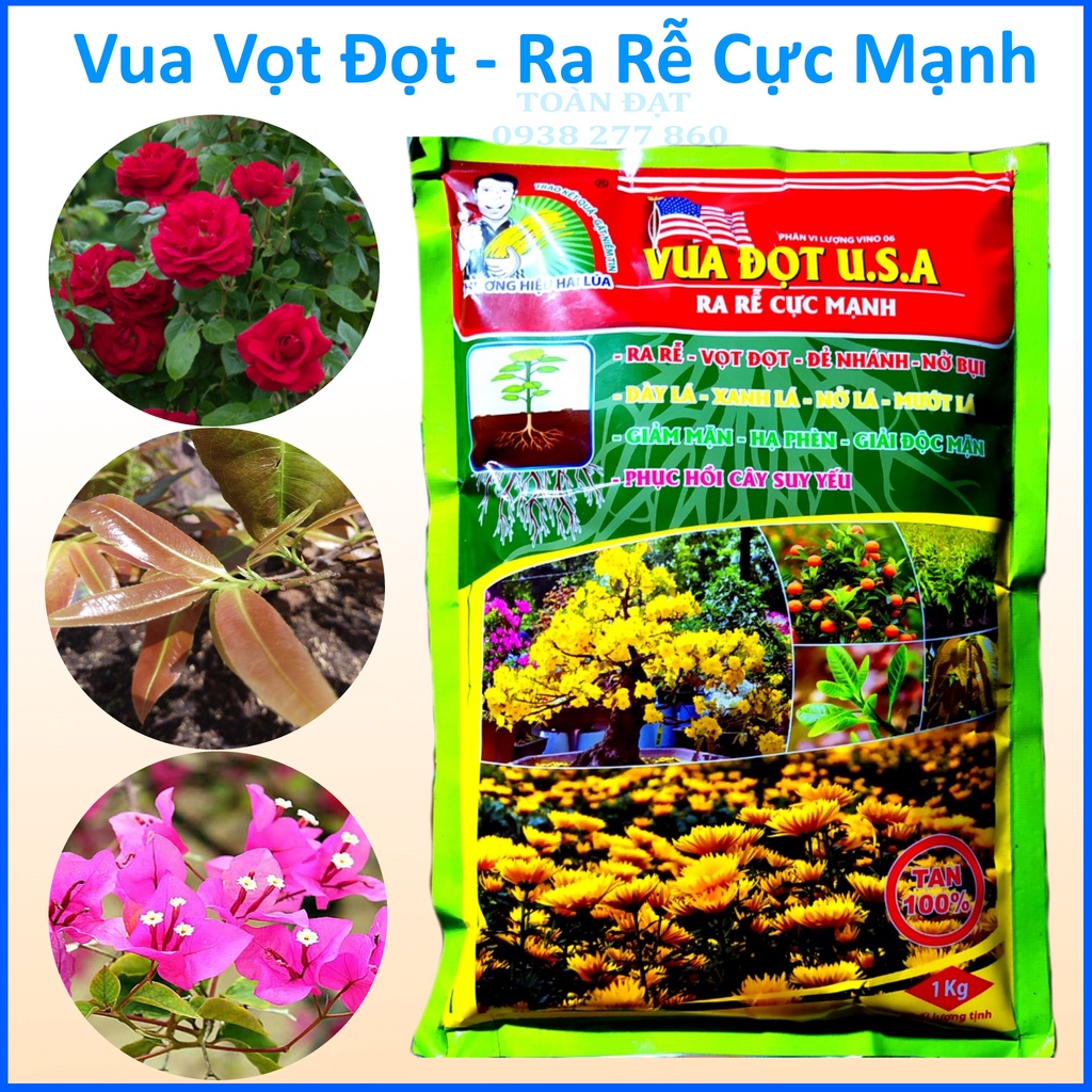 Phân Bón Vua Vọt Đọt U.S.A 1kg, Ra Rễ Cực Mạnh, Phục Hồi Cực Nhanh, Cây Xanh Phát Triển Mạnh