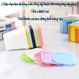 Thanh lý Combo 10 Chậu (đủ màu ) nhựa trồng cây