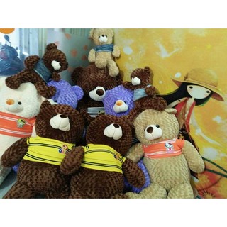 Gấu bông Teddy 1M6
