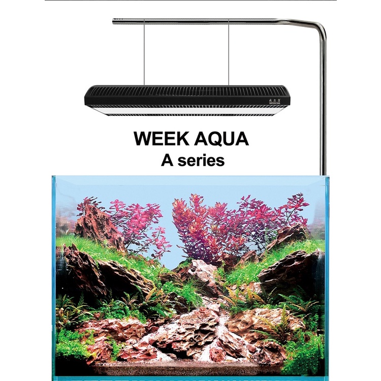 Đèn thủy sinh Week Aqua A430 Pro