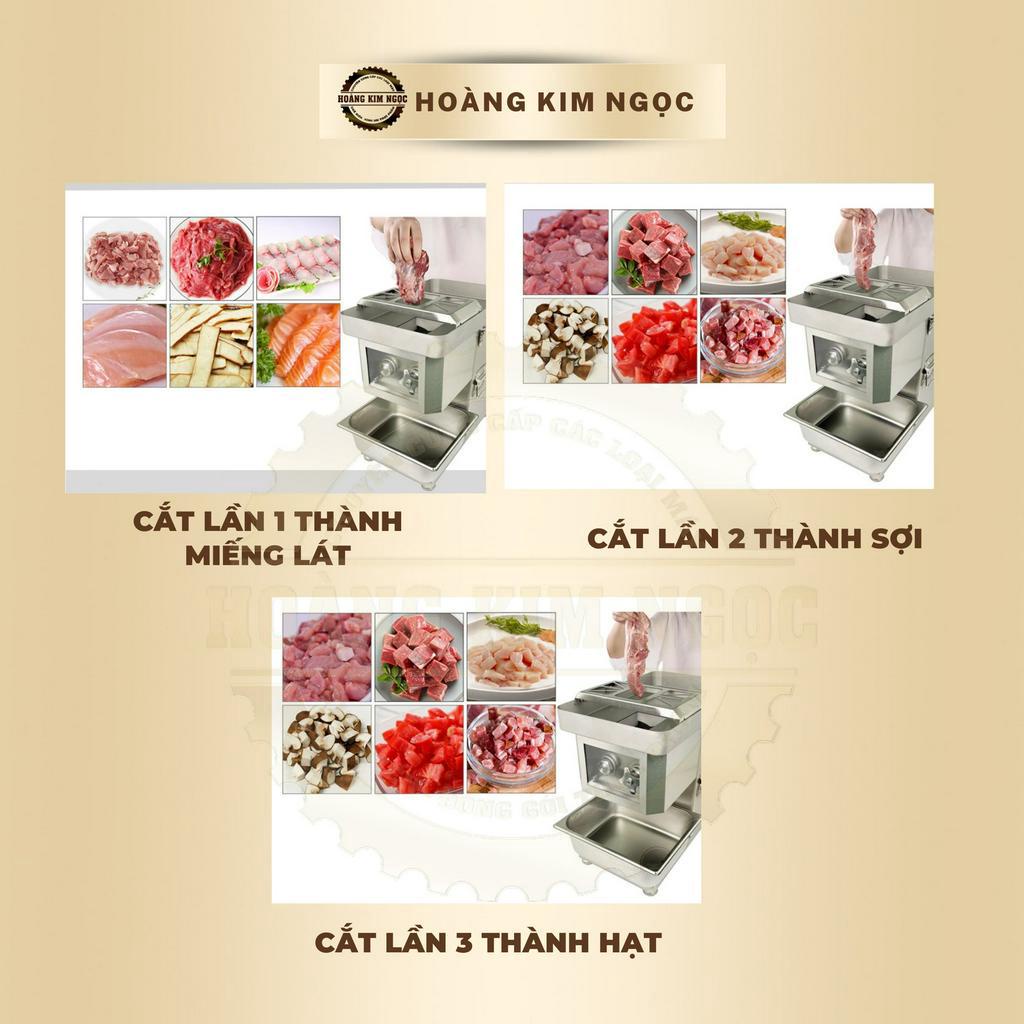 Máy thái thịt tươi sống TS-1 - Công suất 1500W - Hoàng Kim Ngọc