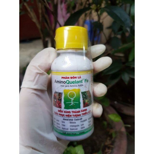 Phân bón lá biến vàng thành xanh, khắc phục hiện tượng thiếu sắt AminoQuelant-Fe chai 100ml