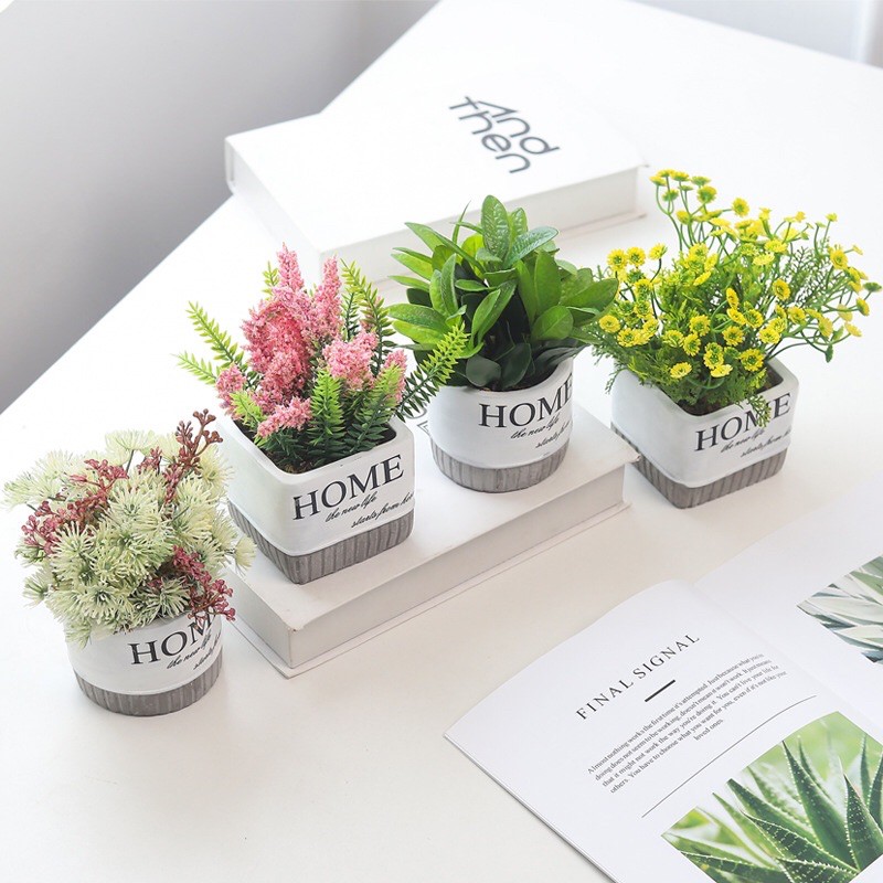 CHẬU HOME TRANG TRÍ ĐỂ BÀN