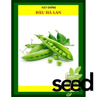 Hạt Giống Đậu Hà Lan 50 Gram