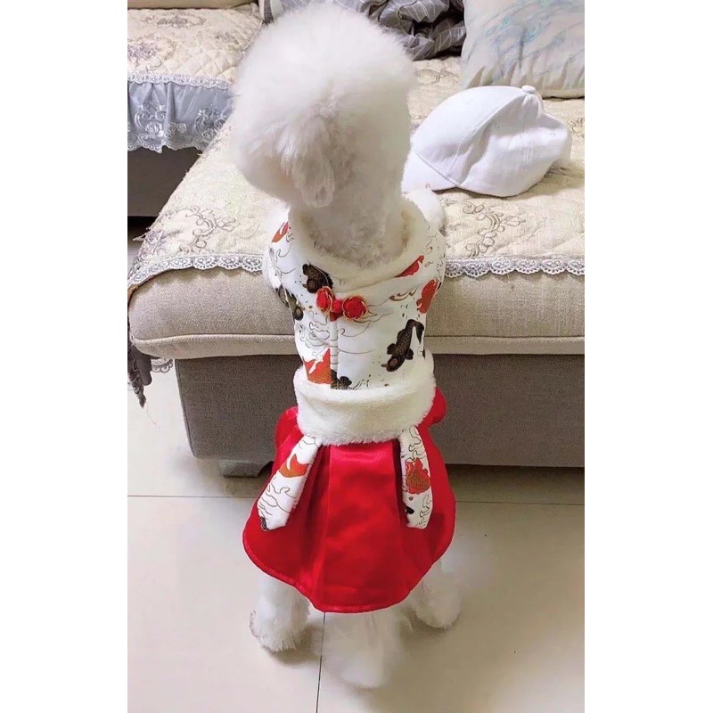 Váy tết siêu xinh cho cún miu 🧧