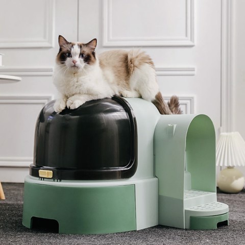 Chậu cát Space cho mèo