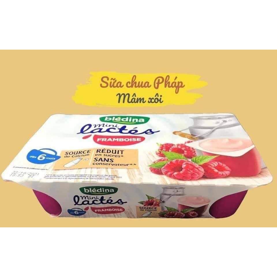 Sữa Chua Nguội Cho Bé Bledina Pháp Đủ Vị Cho Bé Từ 6 Tháng Tuổi Thơm Ngon Bổ Sung Vitamin Khoáng Chất Hỗ Trợ Tiêu Hóa