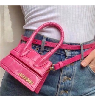 Túi mini jacquemus da rắn