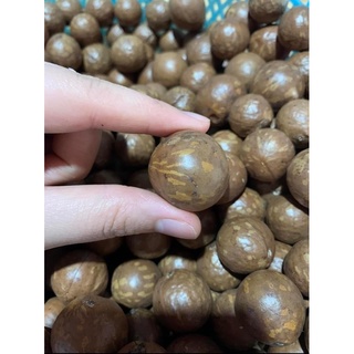 Hạt macca nứt vỏ - (Có tặng dụng cụ tách vỏ) - Loại 1 size lớn