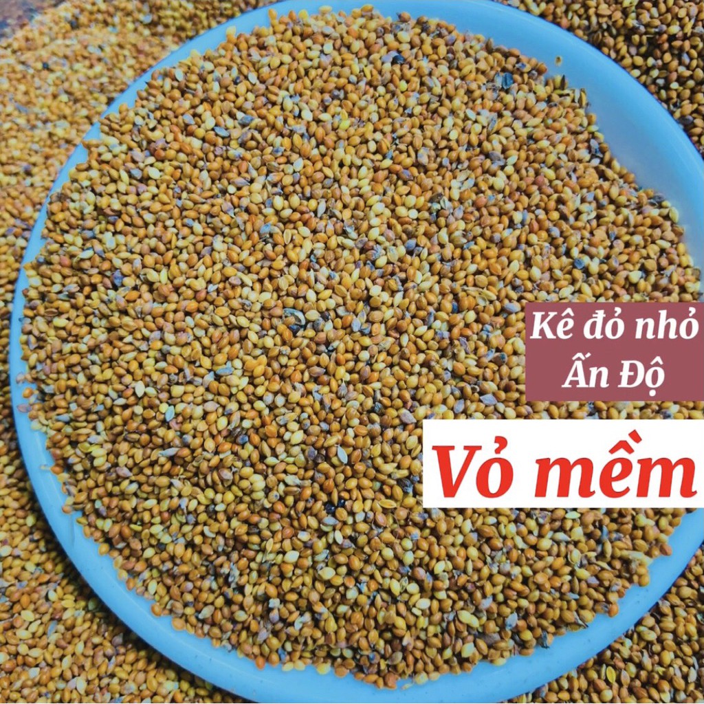 Hạt kê đỏ nhỏ Ấn Độ vỏ mềm, thức ăn dành cho chim cảnh, Vẹt, Yến Phụng, Manh Manh, Finch, 7Màu, Bạc Má, các dòng chim sẻ