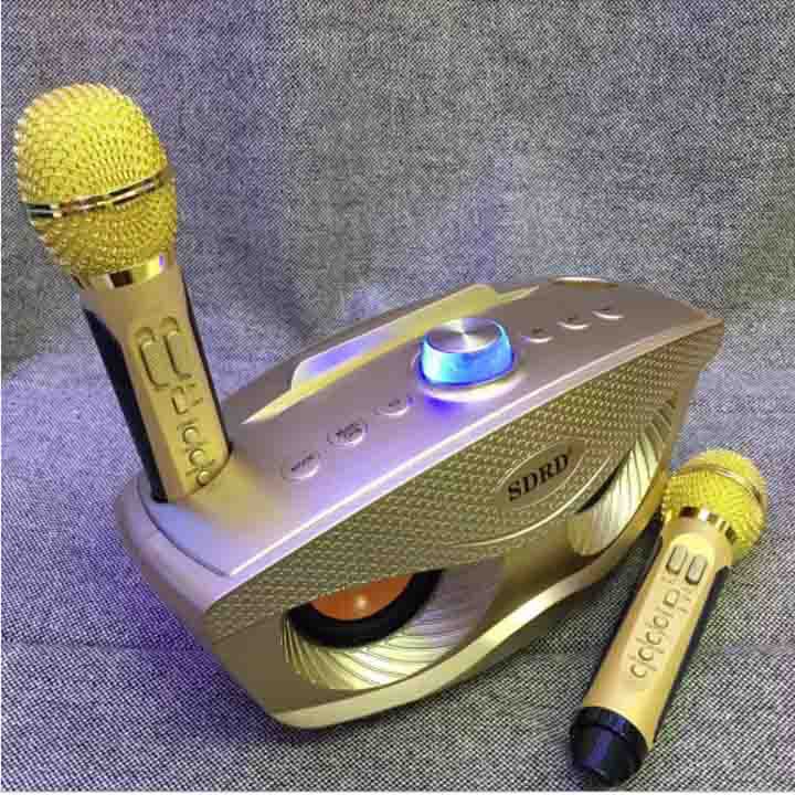 (giá rẻ bất ngờ) LOA BLUETOOTH KARAOKE SDRD SD306 TẶNG 2 MIC KHÔNG DÂY SIÊU HAY