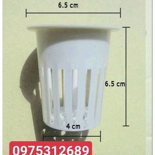 rọ nhựa thủy canh65*65 (combo100cai)