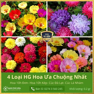 COMBO 4 Hạt Giống Hoa Sen Vàng-Hoa Mười Mỹ Cánh Giờ Đơn 0.5g, Mười Giờ Mỹ Cánh Kép 0.5g, Cúc Lá Nhám 1g, Cúc Đà Lạt 1g