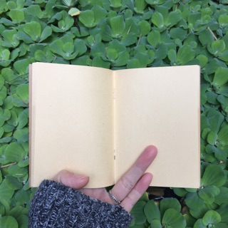 Ruột sổ midori size passport 12.5x9 cm