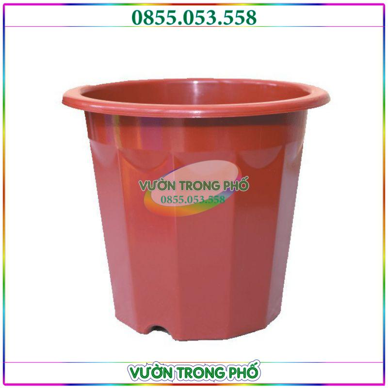 Chậu nhựa E350 loại 1 kt 32x30cm (to nhất trong dòng chậu E)