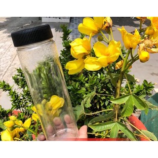 25 CHAI NHỰA PET  500ML