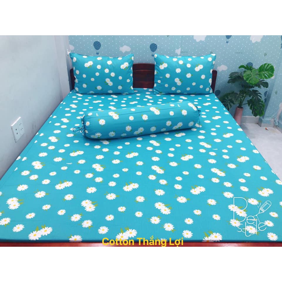 bộ drap Cotton Thắng Lợi 1m6 nệm 13-25cm -chát với shop để chọn mẫu mới nhất