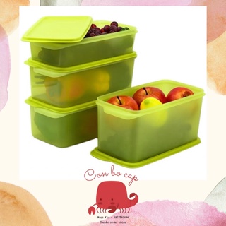Bộ hộp nhựa stak n stor đựng thực phẩm trữ mát thịt cá, rau, trái cây, thức ăn- đẹp an toàn tiện lợi