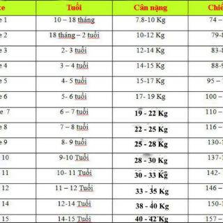 Bộ quần váy xòe bé gái