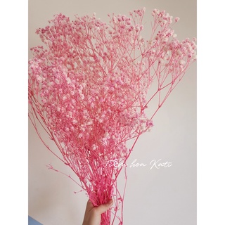 Hoa baby bloom khô decor Vintage, hoa khô trang trí