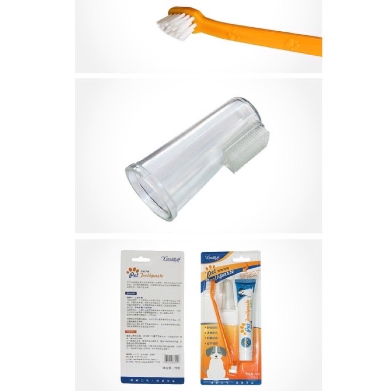 Bộ bàn chải đánh răng cho chó mèo