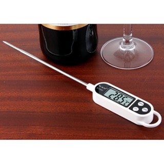 Nhiệt kế điện tử đo chất lỏng KT300