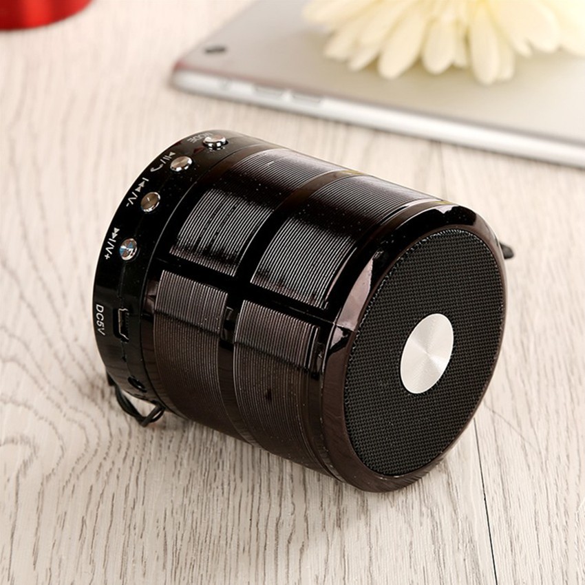 Loa bluetooh Mini Speaker WS-887
