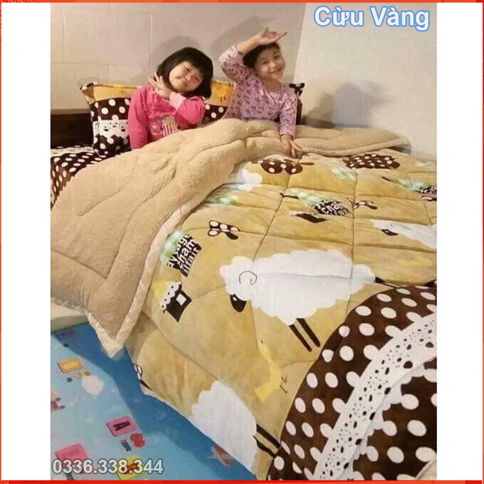 Chăn Lông Siêu Ấm Chăn Lông Cừu Mẫu Cừu Đàn (hàng loại 1)