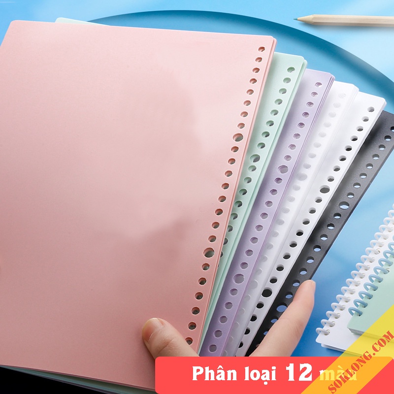 Set 2 bìa nhựa binder B5 26 chấu Pastel P16 tab phân trang sổ còng màu xinh xắn