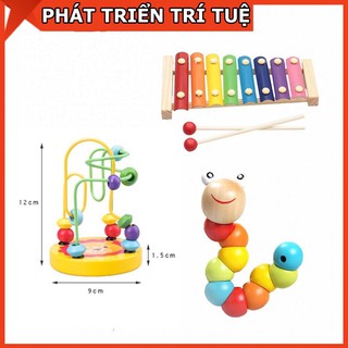 Đồ Chơi Gỗ Combo 3 Món Dành Cho Bé Từ 0-3 Tuổi Phát Triển Trí Tuệ