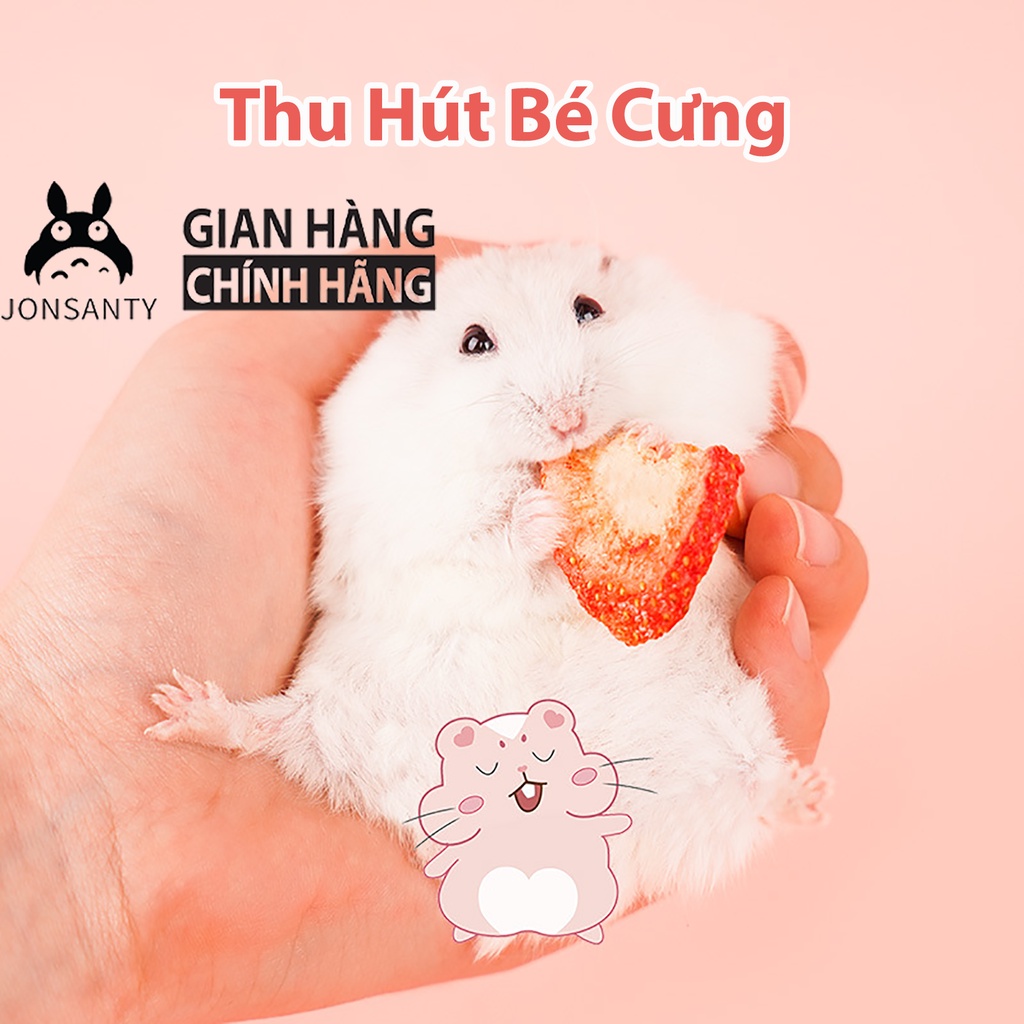 Dâu sấy lạnh cho sóc bay úc, chuột hamster, nhím, bọ ú, thỏ chính hãng JONSANTY hộp 500ML CST048