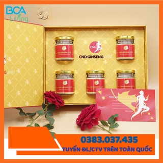 Bột Nhân Sâm Canada CND GINGSENG - 5 lọ/hộp