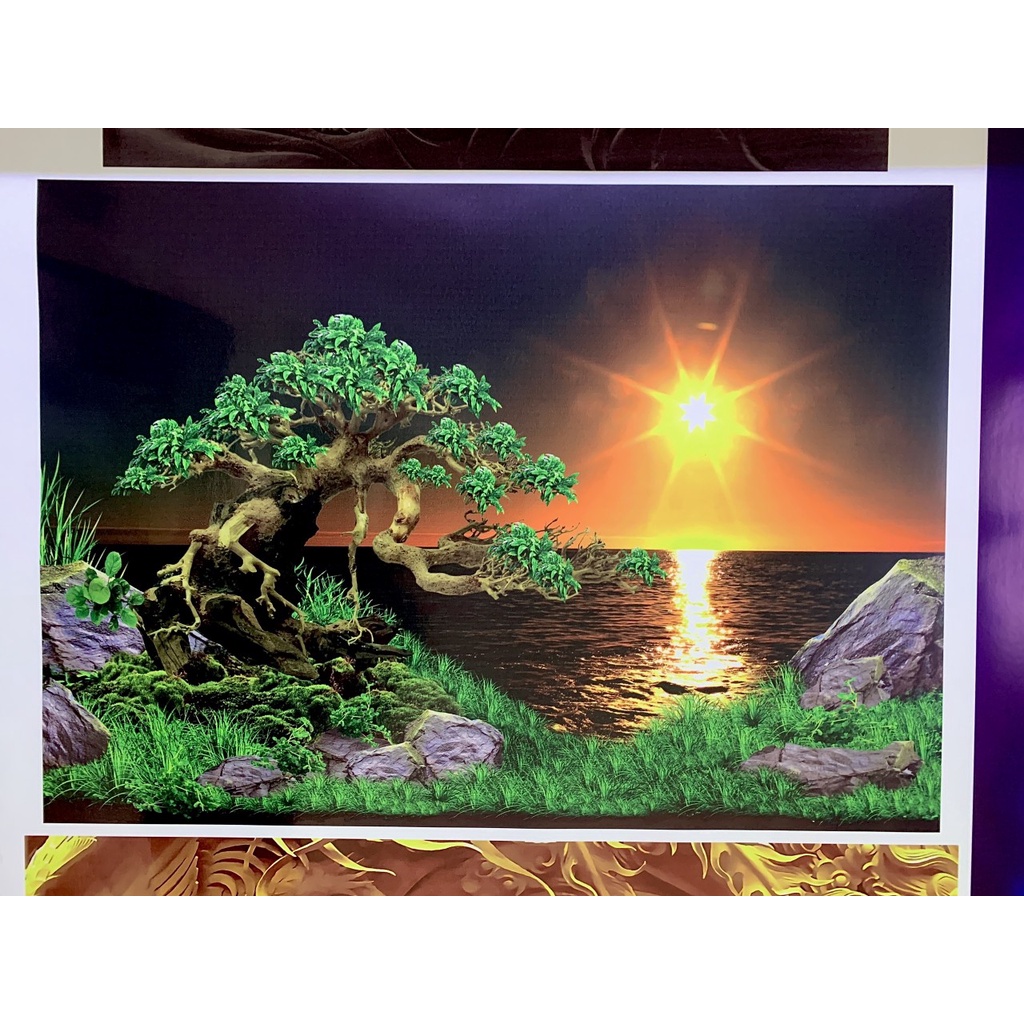 Tranh 3d dán bể cá thủy sinh (Tranh lưng)