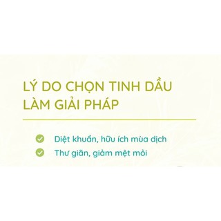 Tinh dầu tràm gió lọ 50ml