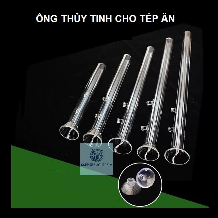 Ống Thủy Tinh Cho Cá Tép Ăn