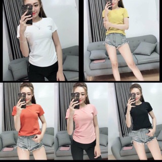 Áo thun thái trơn form vừa 40->60ki