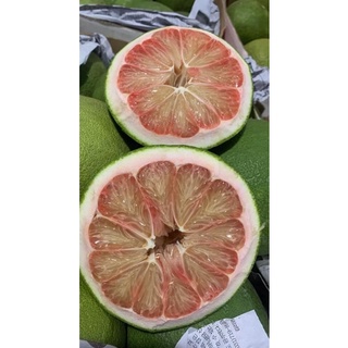 1 trái bưởi ăn cây Lão Da Xanh Bến Tre nặng từ 1,3kg đến 1,5kg