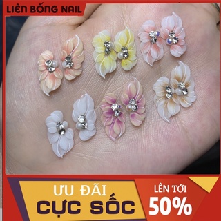 Hoa bột nail mã 003