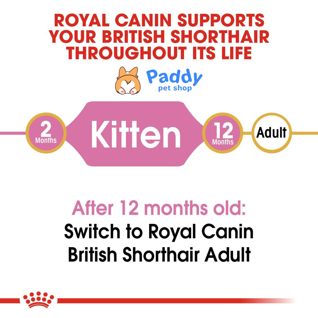 Thức Ăn Hạt Cho Mèo Con Anh Lông Ngắn Royal Canin British Shorthair Kitten Túi 2kg - Lida Pet Shop